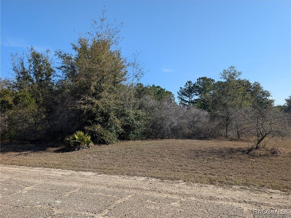 2nd image of 553 E Irene Ln