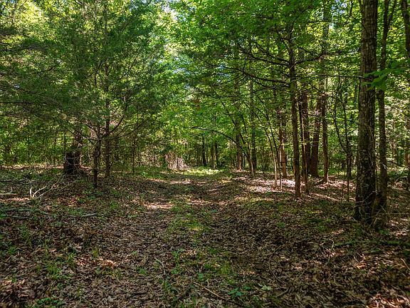 2nd image of 0 Acklin Gap Rd