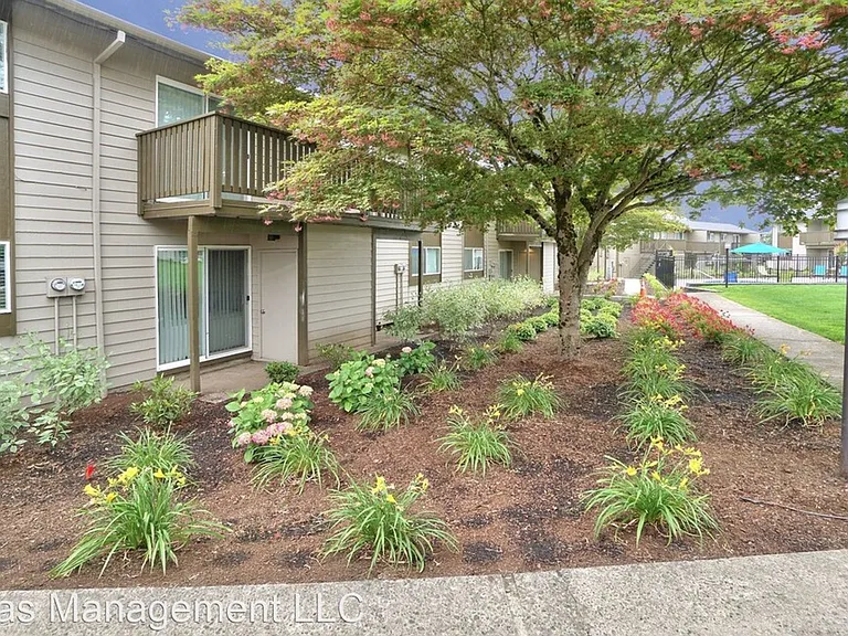 The Zimmer — Photo 63