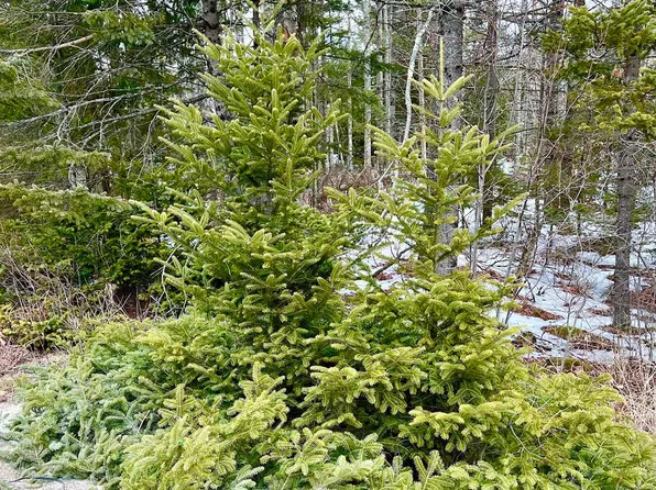 Lot 4 High Street, Ellsworth, ME 04605