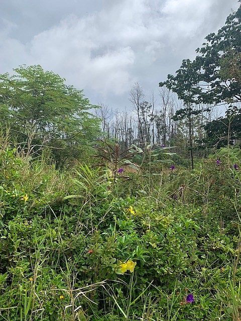 2nd image of Ainaloa Dr Lot 1
