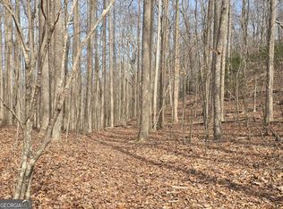 Caesar Gap Rd, Hiawassee, GA 30546