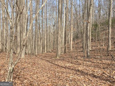 Caesar Gap Rd, Hiawassee, GA, 30546