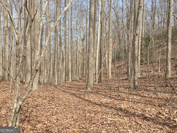 Caesar Gap Rd, Hiawassee, GA 30546