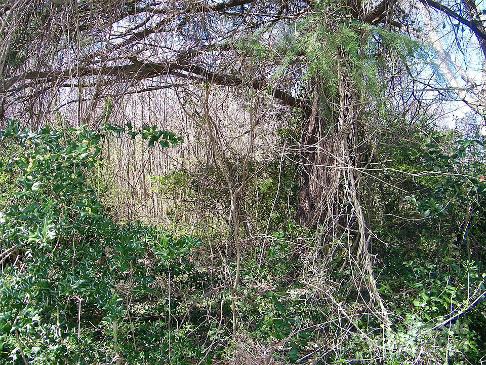 2nd image of 305 Milford Hills Rd