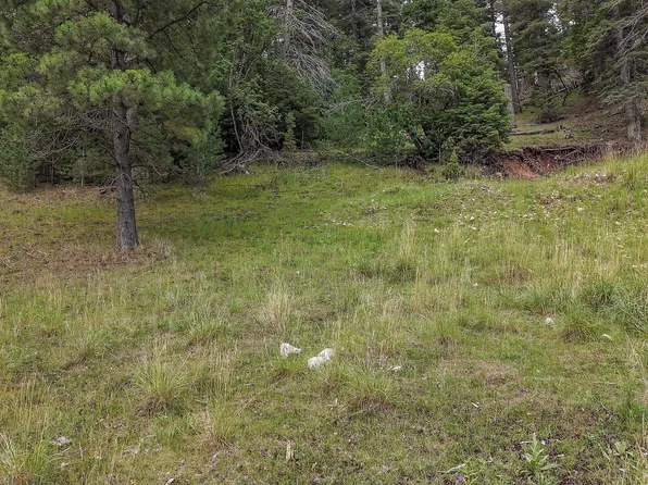 LOT 40 Trading Post Rd, Cloudcroft, NM 88317