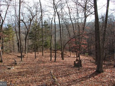 0 Supinlick Ridge Rd, Mount Jackson, VA, 22842