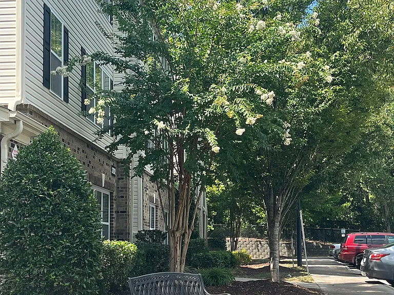 Juliet Place Apartments — Photo 13