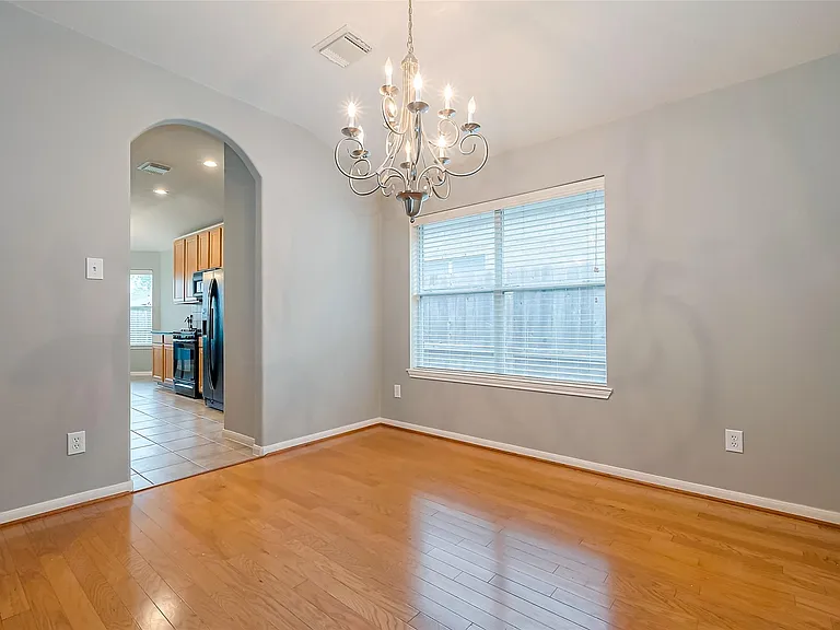 1007 Casting Springs Way — Photo 16