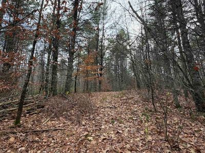 00 Deer Meadow Road, Webster, NH, 03303