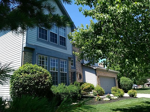 Landscaped Yard