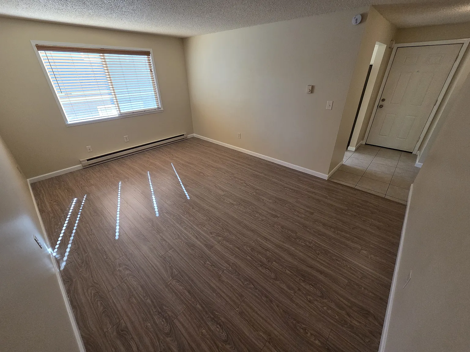 1 bed, 620 sqft, $1,050 — Photo 4