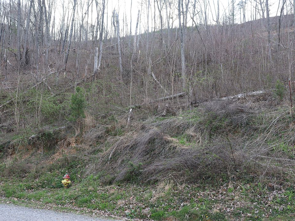 2nd image of Lonesome Pine Way