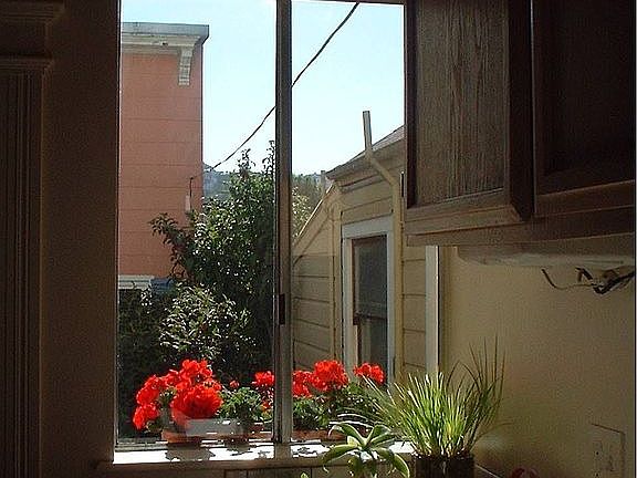 VIEW FROM KITCHEN WINDOW