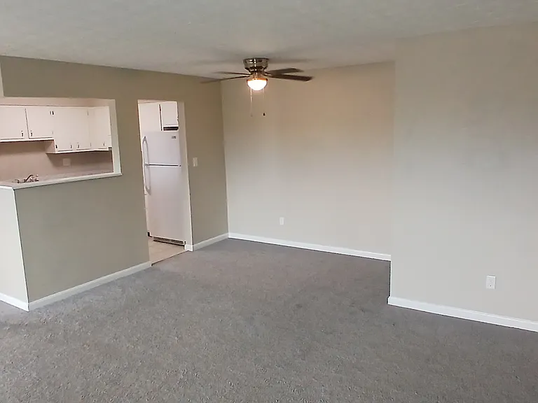 125 Tanglewood Ct — Photo 4