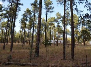161 Dixwood Dr, Timberon, NM 88350