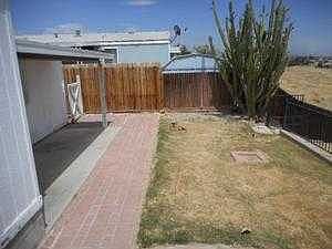 Back yard