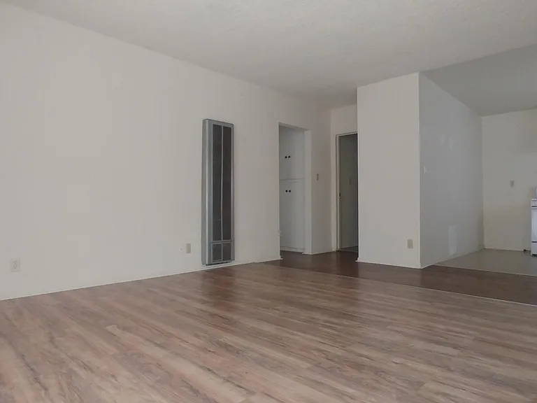 821 Olive Ave #5 — Photo 3