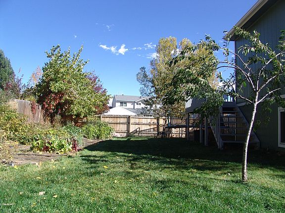 Backyard lawn