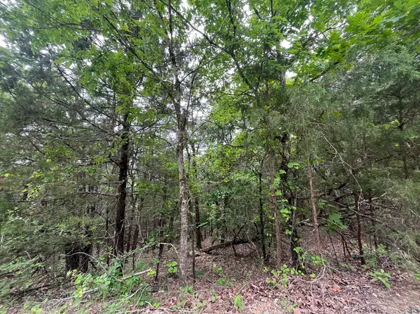 838 Marlin Street, Kissee Mills, MO 65680