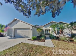 29531 Allegro Dr, Wesley Chapel, FL 33543