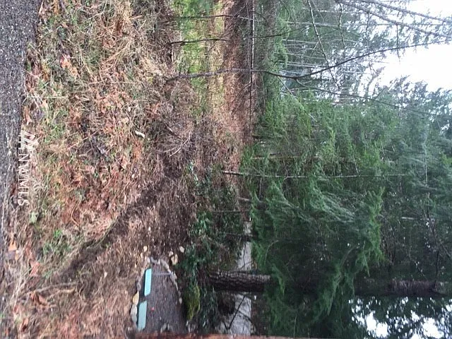 0 Belfair Court photo 1