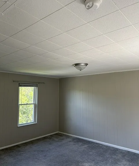 323 Juniper Ln — Photo 8