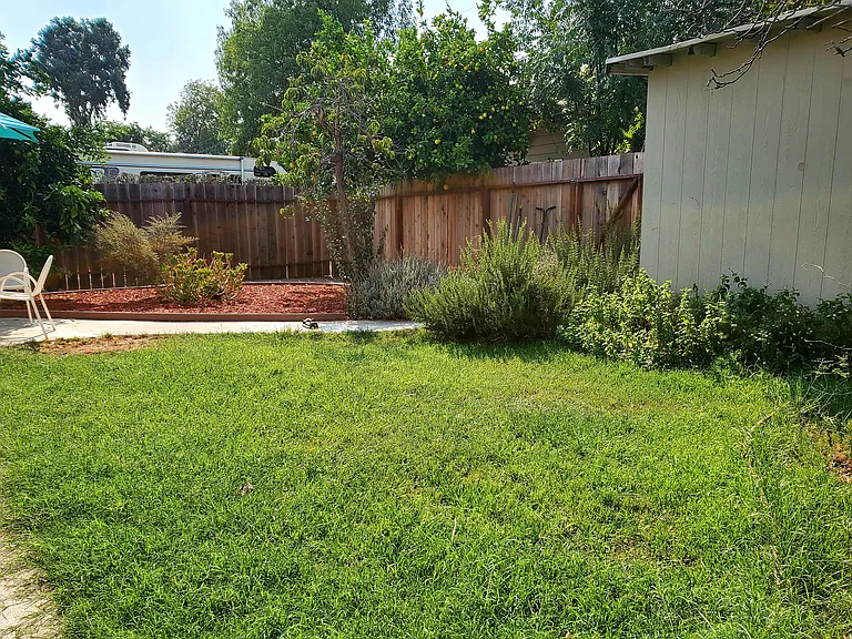 204 W Rosemary Ln — Photo 11
