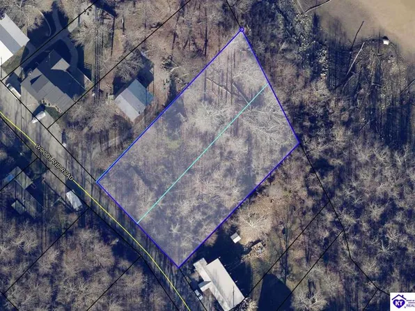 212 Woodland Dr, Cub Run, KY 42729