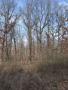 Carronbridge Ln #12, Bella Vista, AR, 72715