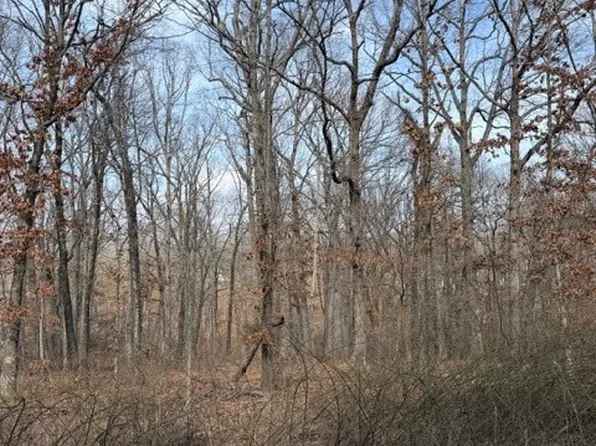 Carronbridge Ln #12, Bella Vista, AR 72715