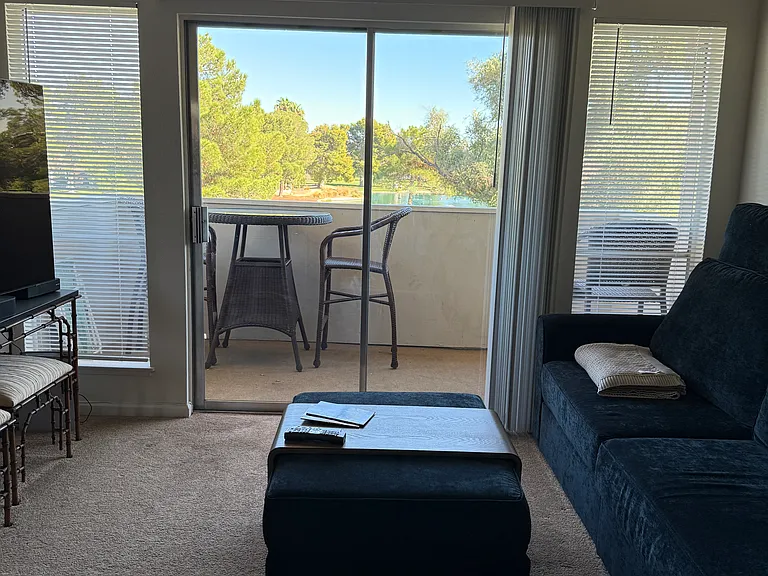 Living Room View