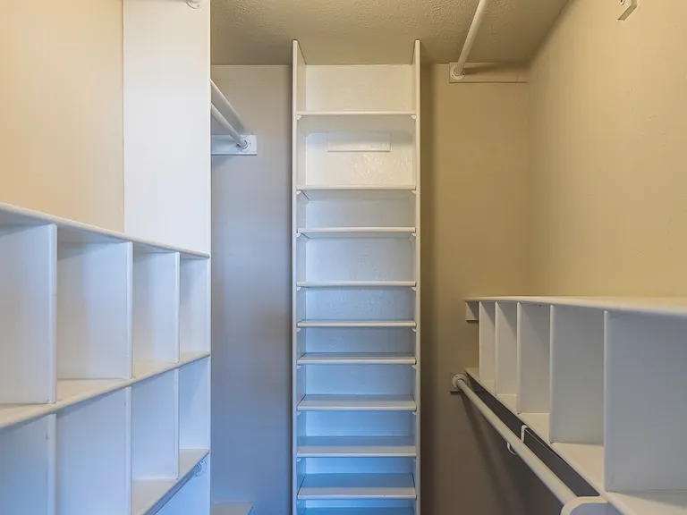 primary bedroom - walk-in closet