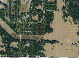 4589 County Road 114, Wildwood, FL 34785