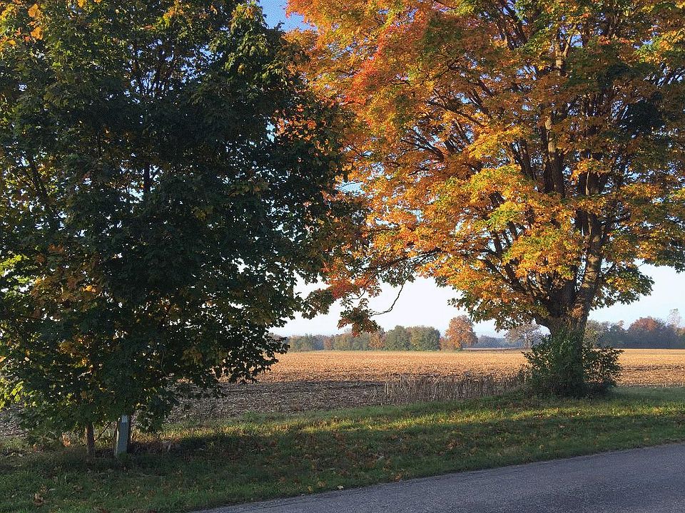 39 acres on Hafs Road 