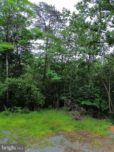 LOT 9 Lookout Dr, Shenandoah, VA, 22849