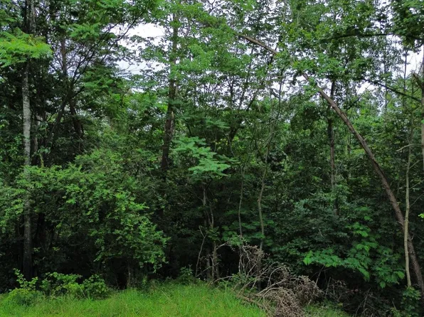 LOT 9 Lookout Dr, Shenandoah, VA 22849