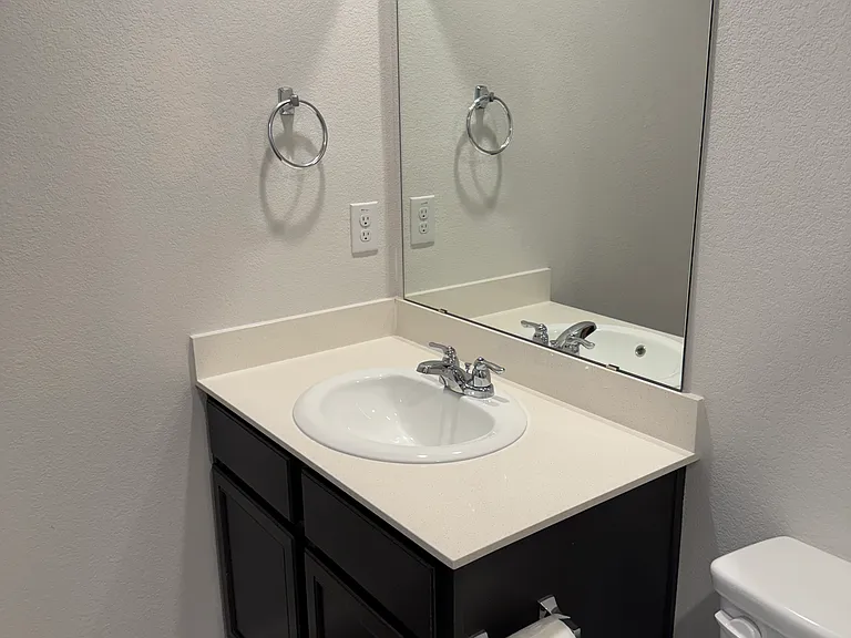 Master Bathroom: Sink & Vanity
