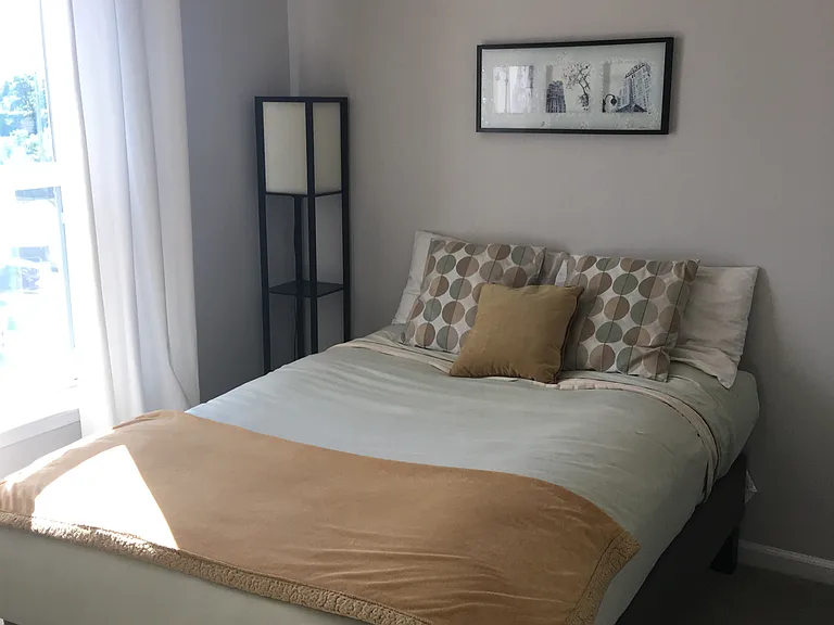 8204 Secluded Cove Ln — Photo 13