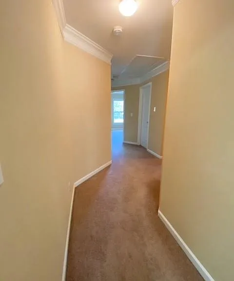 2511 Gadsen Walk — Photo 22