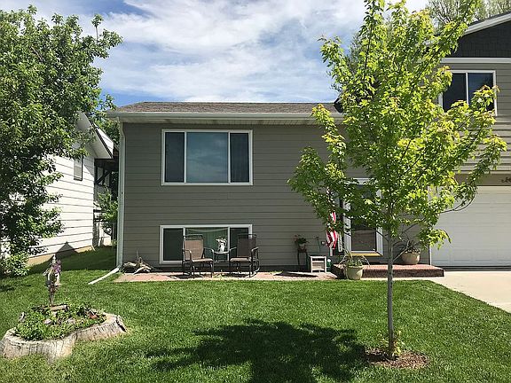 Maple tree and fairy garden
