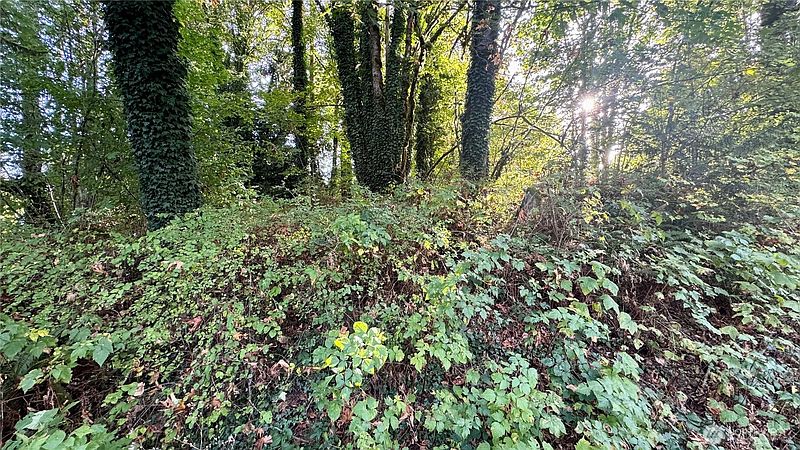5th image of 0 Lt 14&15 Cape Horn Drive