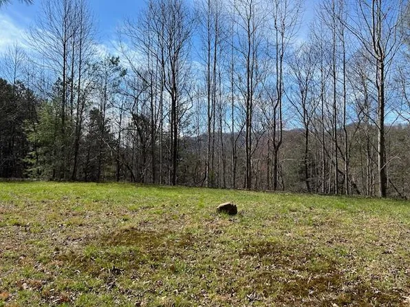 0 Morgans Rdg, Bryson City, NC 28713