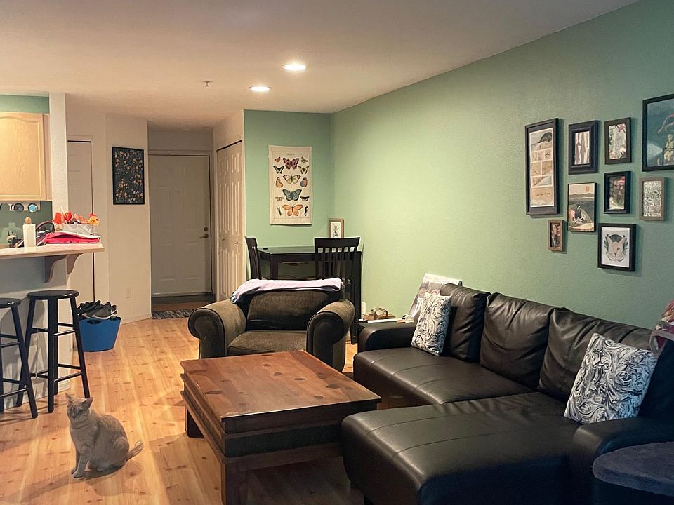 Living Room 1
