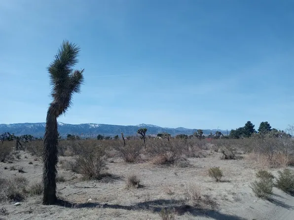 Marco Rd, Pinon Hills, CA 92372