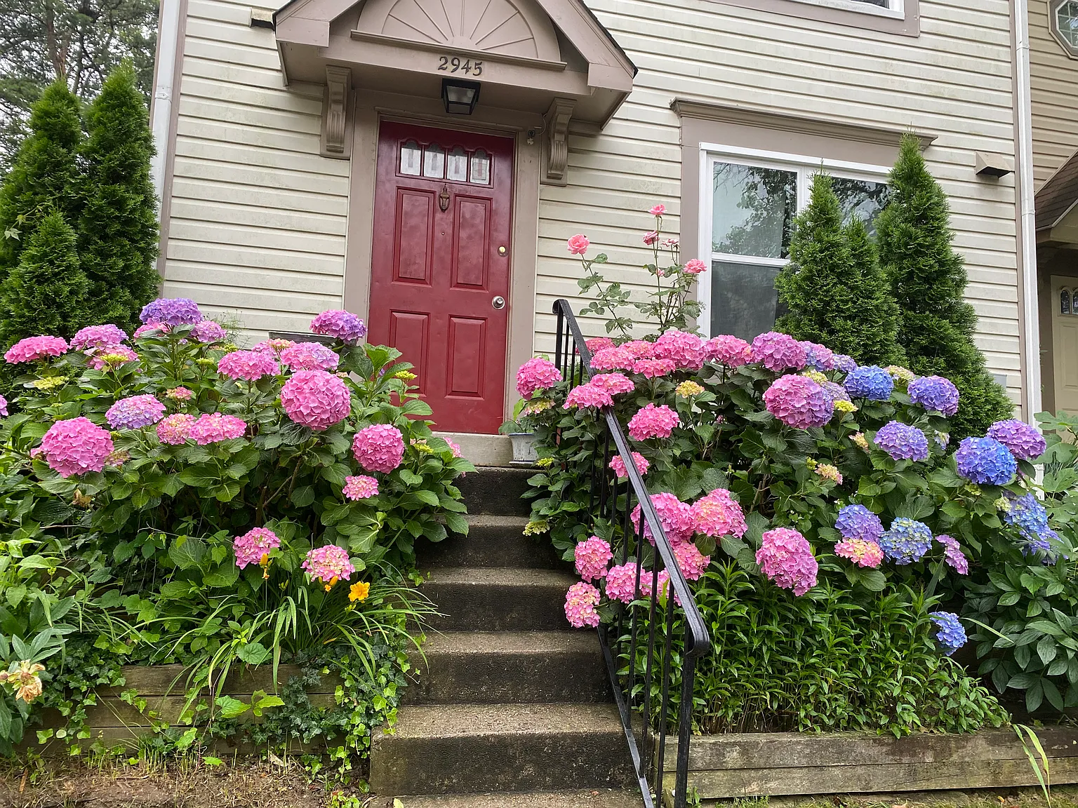 4 bed, 1800 sqft, $650 — Photo 1