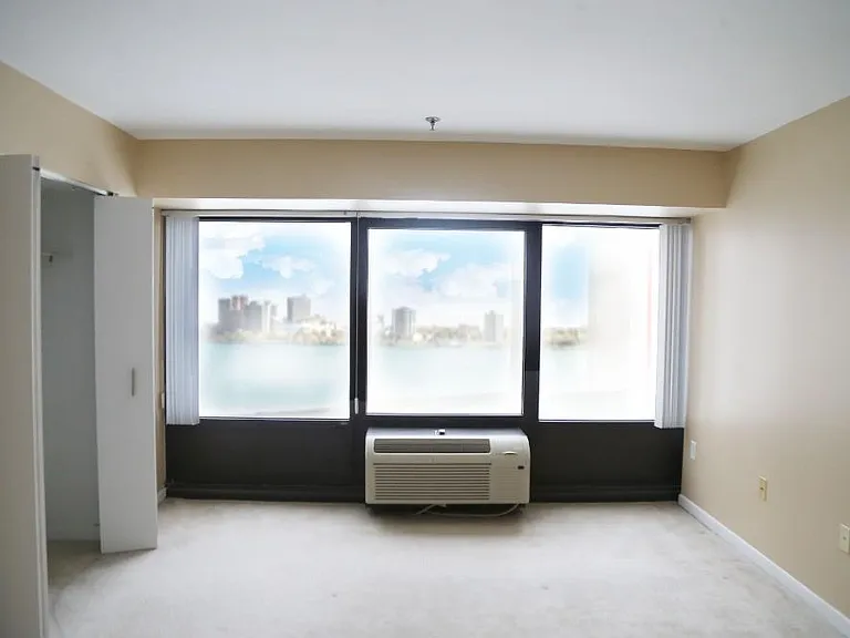 1001 W Jefferson Ave #300/16F — Photo 8