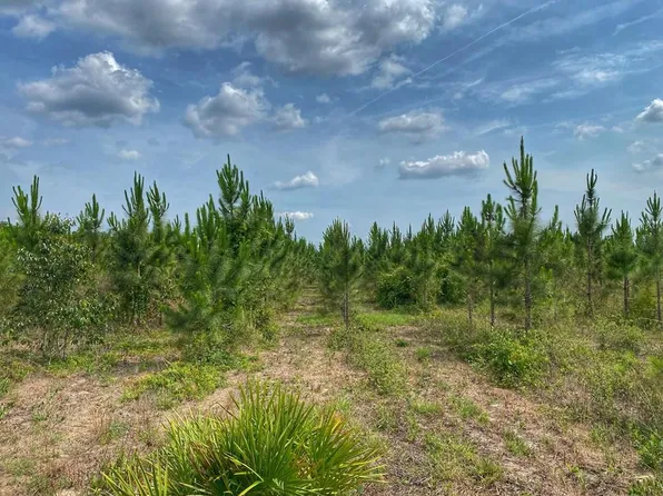 00 NW 45th Ave, Bell, FL 32619