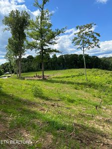 Spangle 9.13 Acres Rd, Morristown, TN, 37814