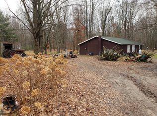 703 S Satterlee Rd, Gowen, MI 49326